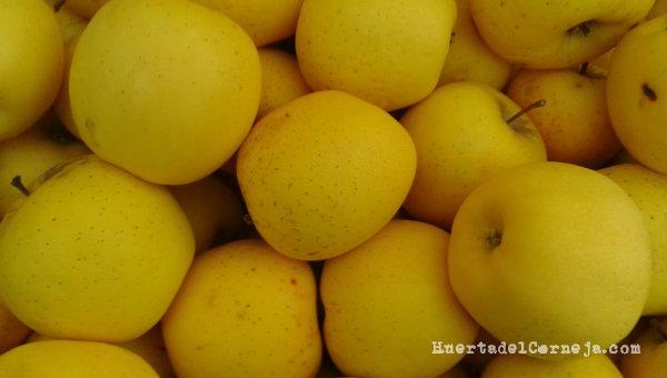 Manzanas golden en la banasta