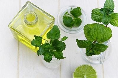 Aceite esencial de menta