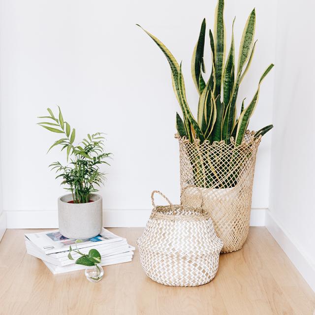 cesta-de-mimbre-zig-zag