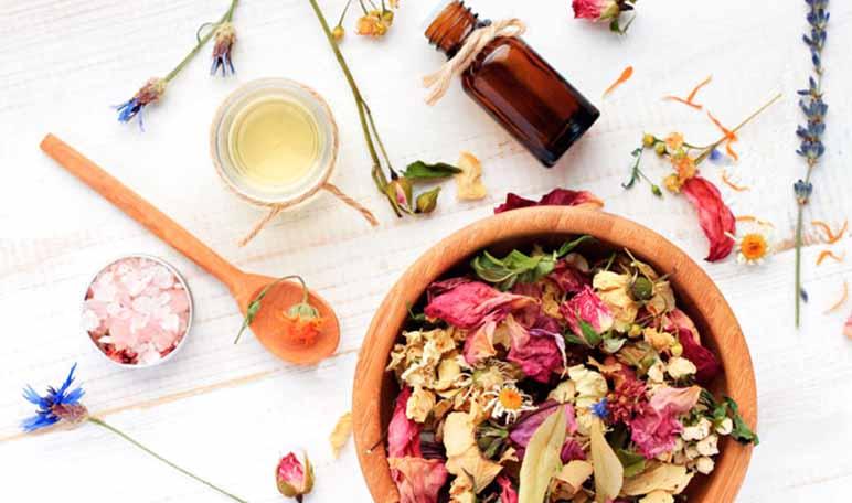 5 trucos para deshacerte de los mosquitos - Trucos de hogar caseros