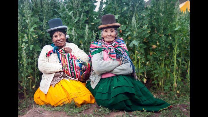 Mujeres campesinas recolectoras de quinua