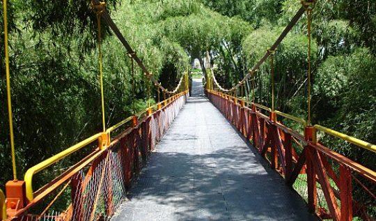Puente_colgante_parque_del_cafe