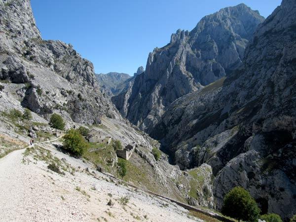 Llegamos al tramo de "cuesta abajo". En nada llegamos a Poncebos.