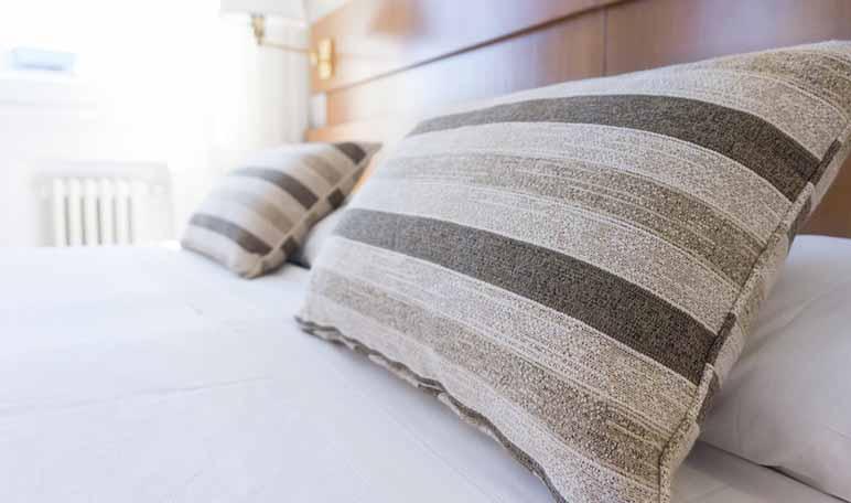 Cómo eliminar chinches de cama - Trucos de hogar caseros