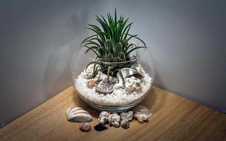 renovar tu cuarto de baño