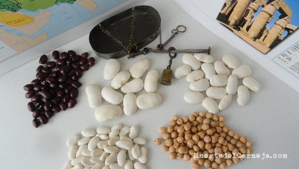  Una onza de nuestras legumbres