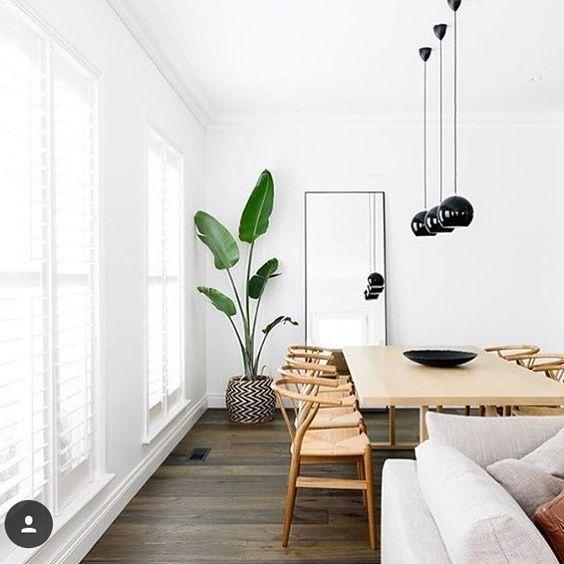 decorar rincón de un salón con plantas