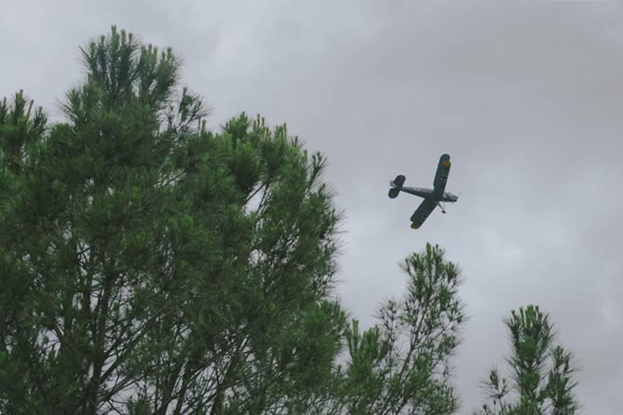 Boda-bosque-boho-wedding-shabby-chic_EDISEE_La-boda-con-Diana.24