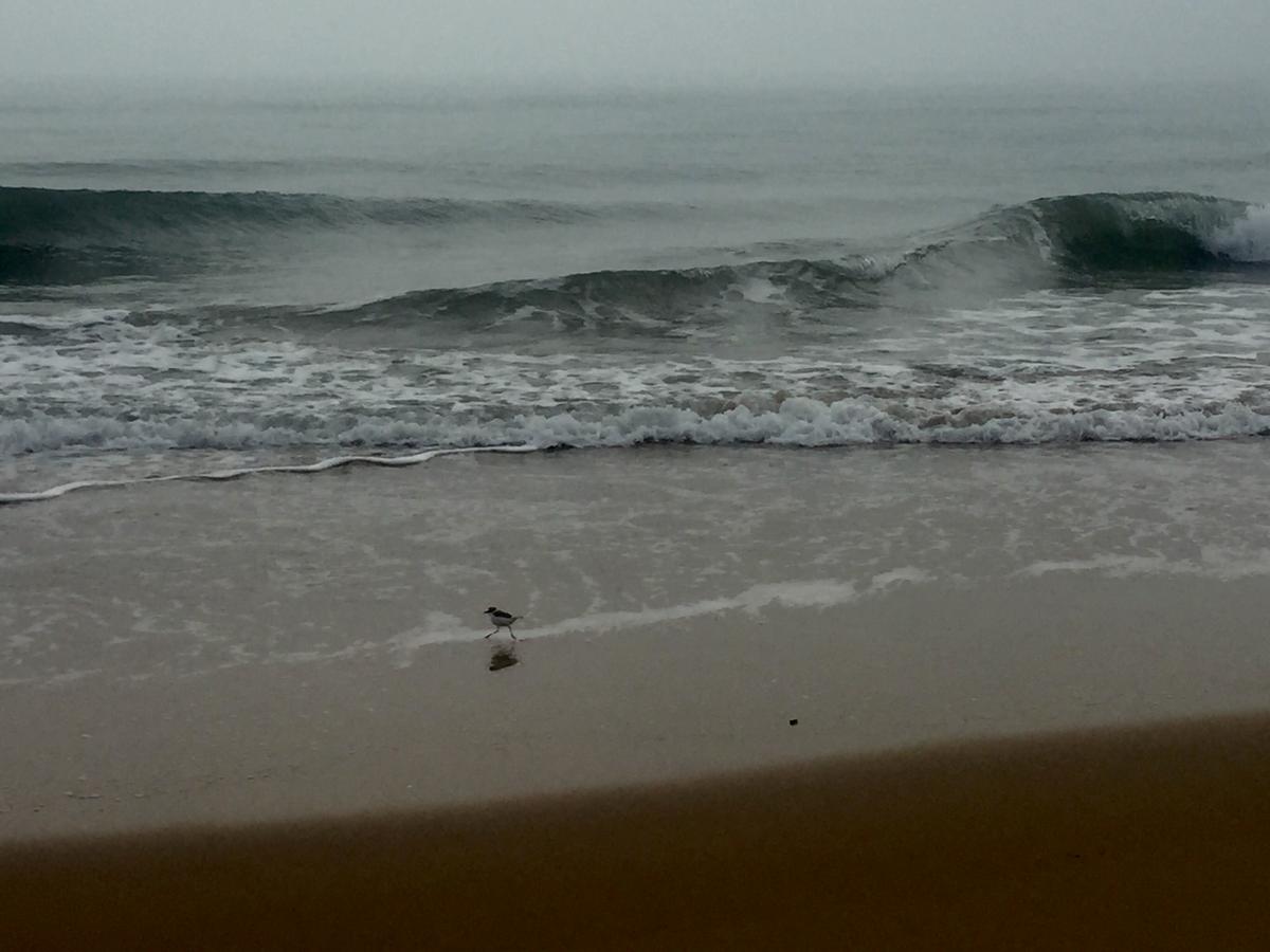 A3DB7723-C117-4F45-9F43-701C794EF5A9