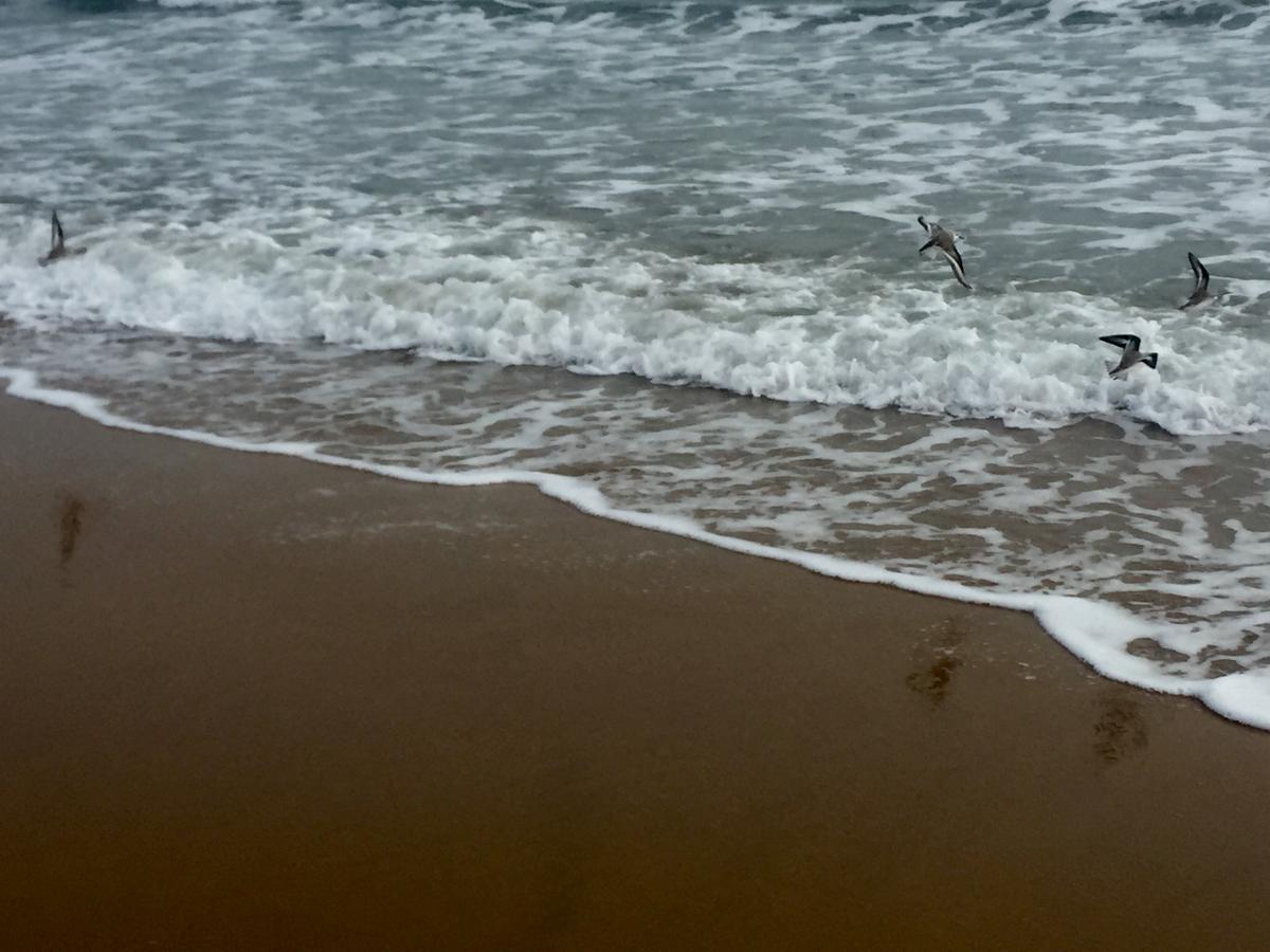 6887B836-C989-4459-B890-8534D78852A9