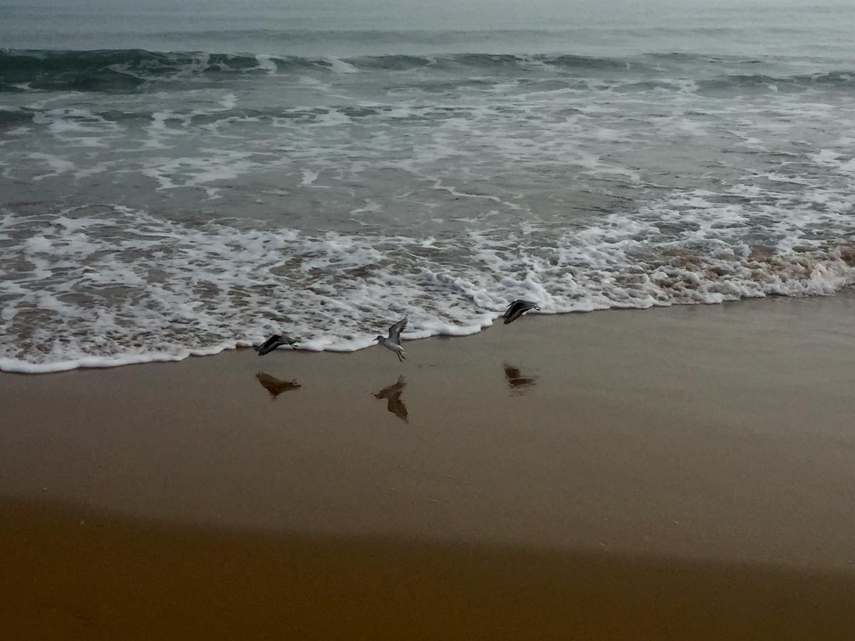 BDF42B9C-7CA2-48F1-B68D-B8695DDBFB29