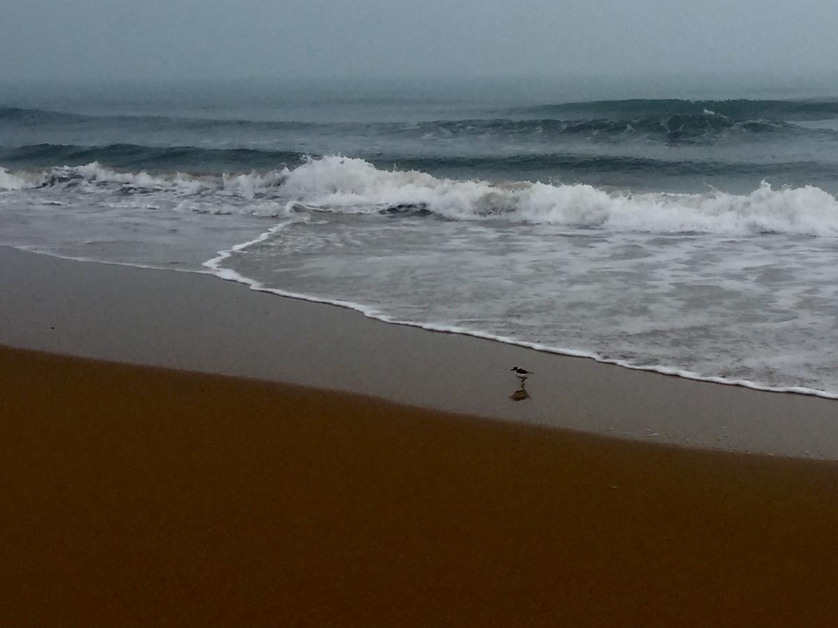 BFA8EC5D-2587-459B-8CC4-894F6B974D4D