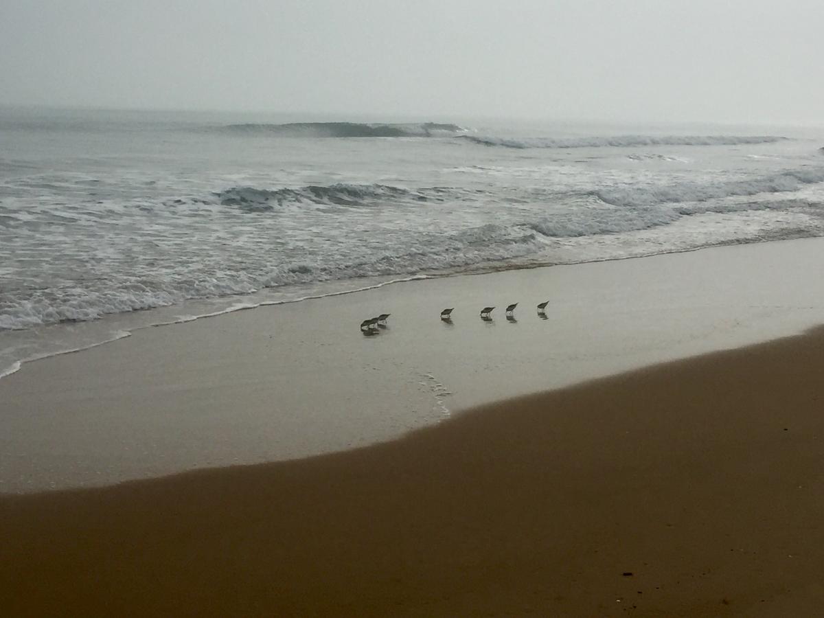 74FC6DA0-3B3F-414C-85D9-129219EC07AB