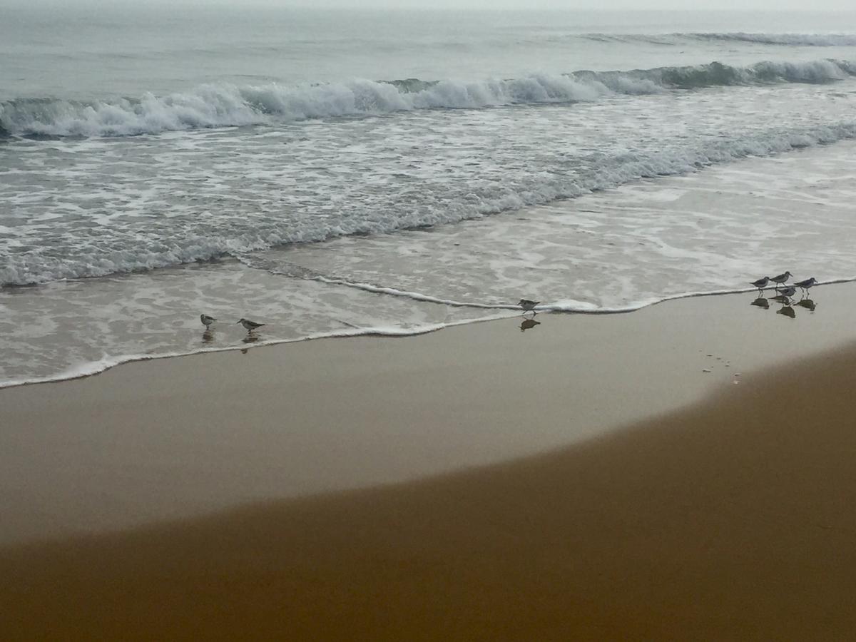 58329DF6-3C89-4590-91FE-01ABC07C42DF