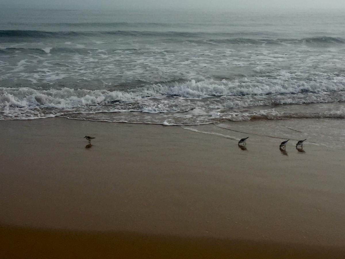 FB32A3A0-ACBF-42FC-8E5D-C0356CAF0B6A