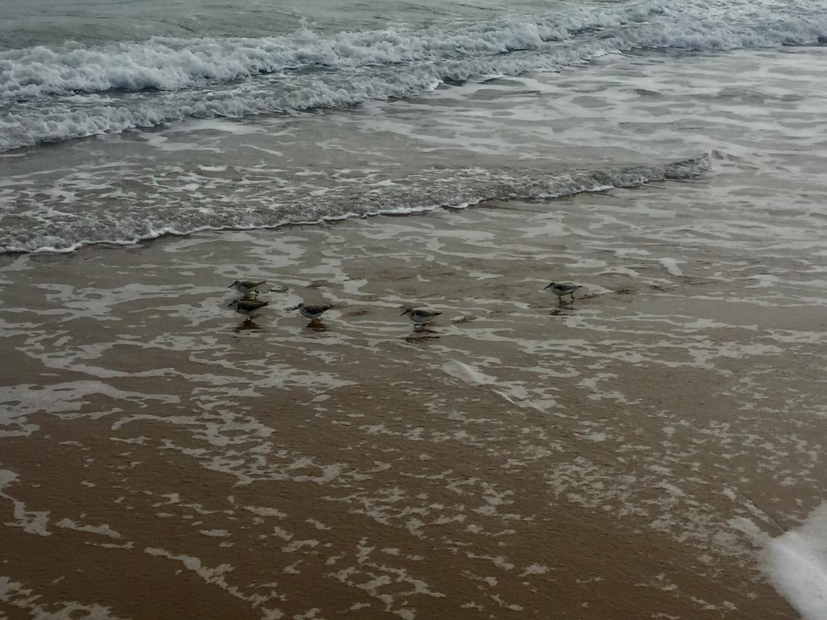 9ABEB6B5-1786-4CB3-ADE1-7E74254ED798