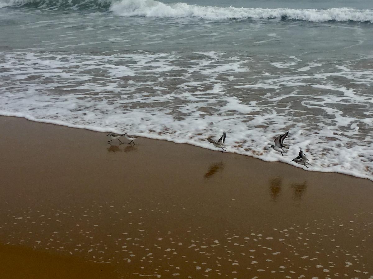 313FFF91-2FAD-4ADA-BA51-0DC16A8D7477