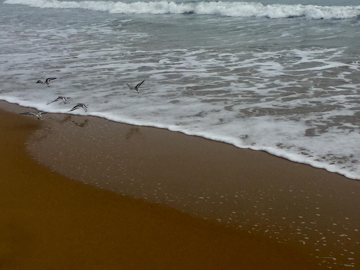 F62021DF-C247-4A80-A7E9-AF8C4AE18030