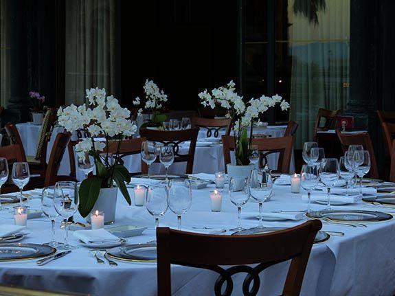 boda de tarde. El Edén de Bambi