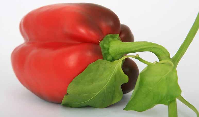 7 alimentos que te ayudarán a acelerar el metabolismo