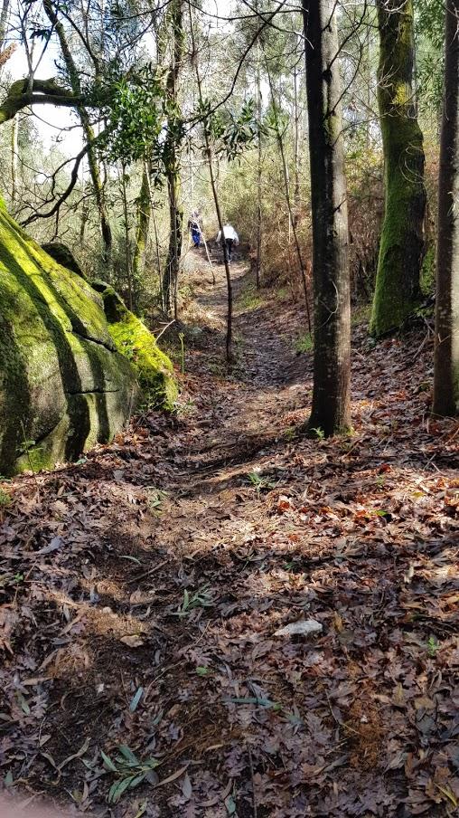 Sendero con desnivel.