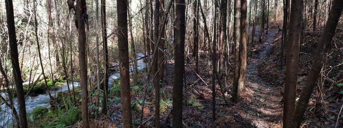Camino que transita por la ribera del río.
