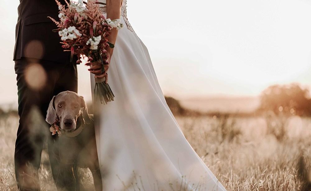 boda real boda campestre novia vestido de novia