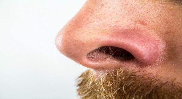 Cómo eliminar los vellos de la nariz