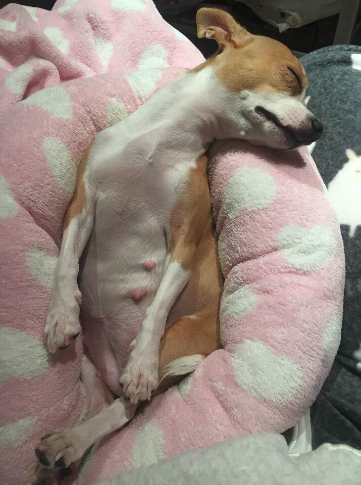 30184602_10216360062178661_527829893_n