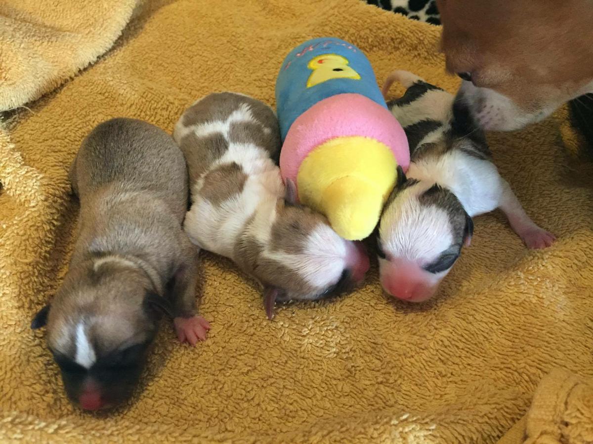 21908443_10214636875100061_843619398_o