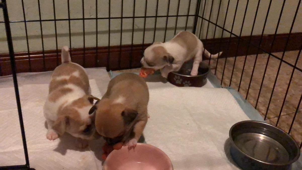 22712133_10214879712170836_1086878898_o