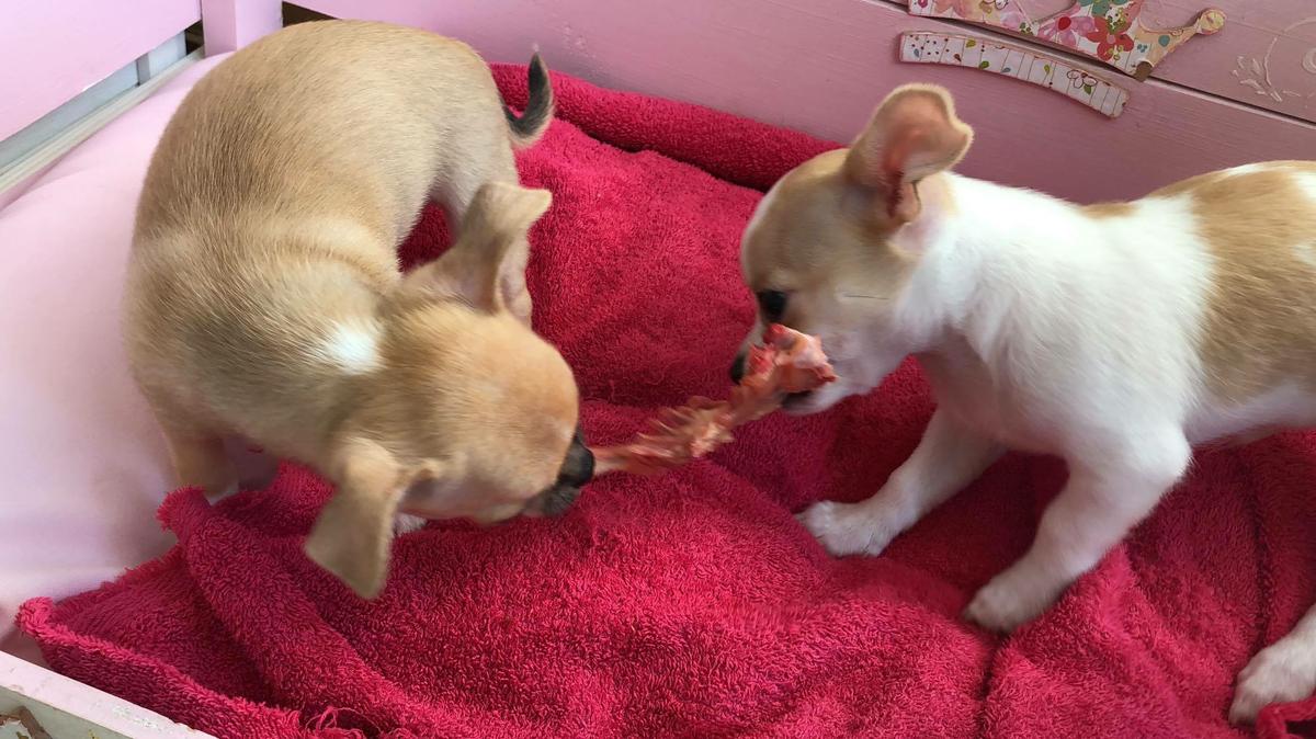 23798534_10215133233068700_1002506384_o