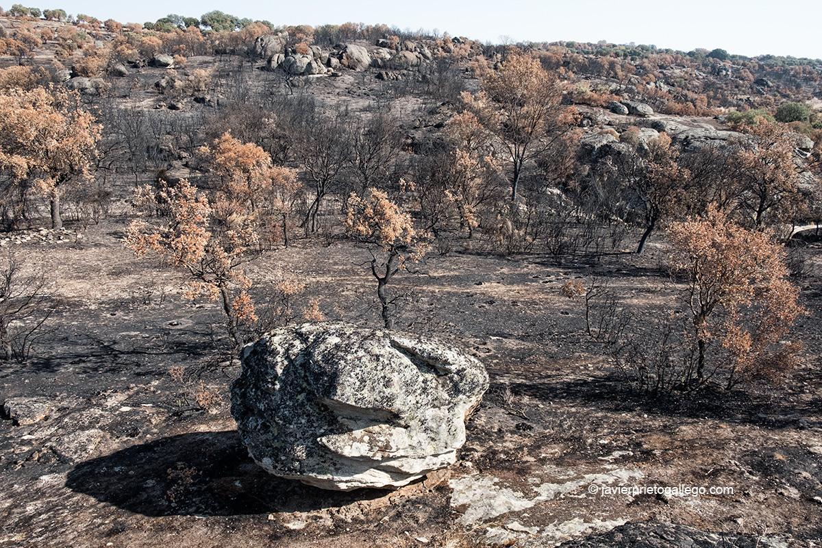 Sendero de las Minas de Oro. Campos calcinados en el entorno de Pino del Oro. Parque Natural Arribes del Duero. Zamora. Castilla y León. España © Javier Prieto Gallego