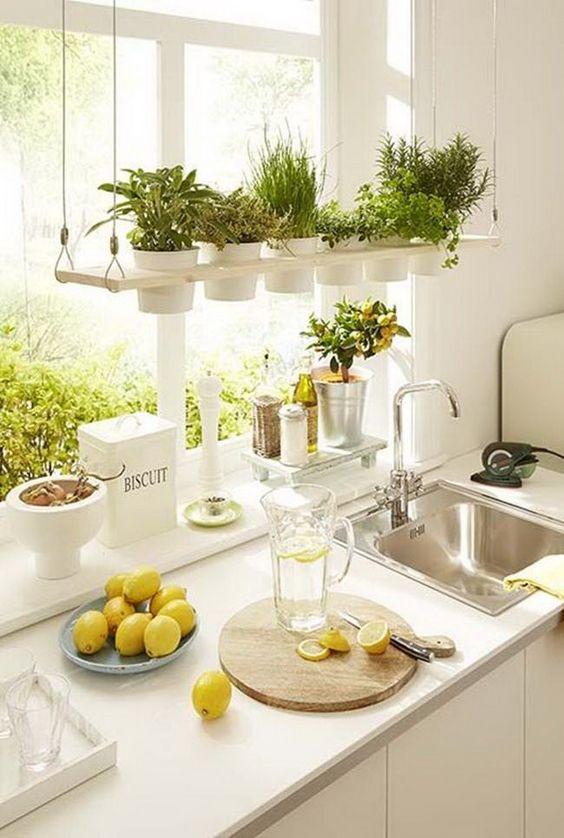 decorar con plantas en primavera