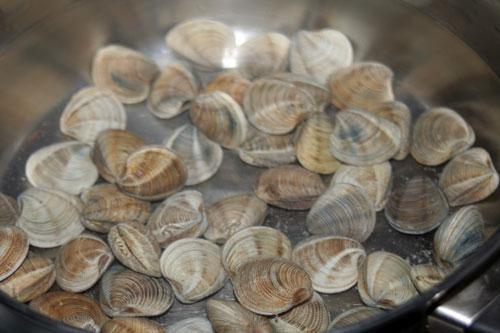 cocer-las-almejas