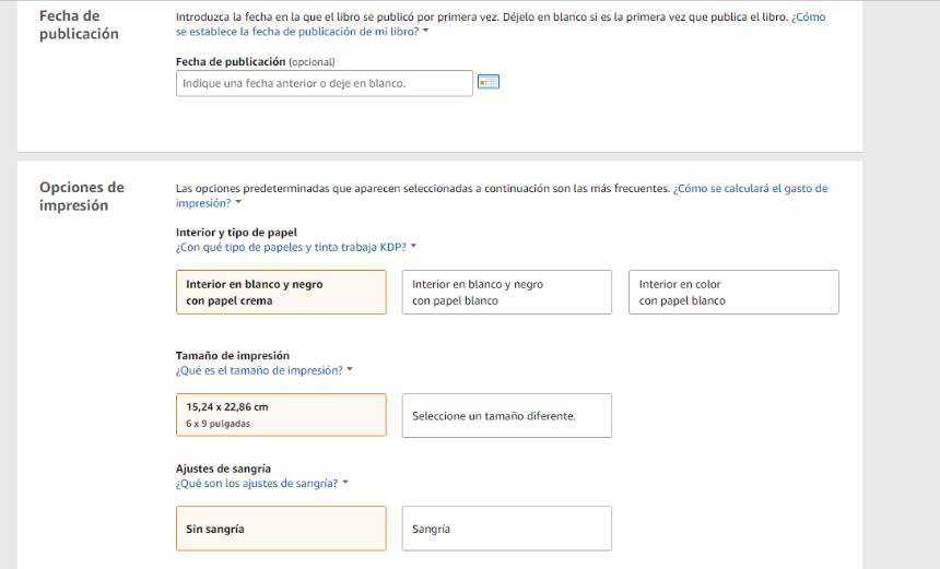 Captura de pantalla Publicar libro