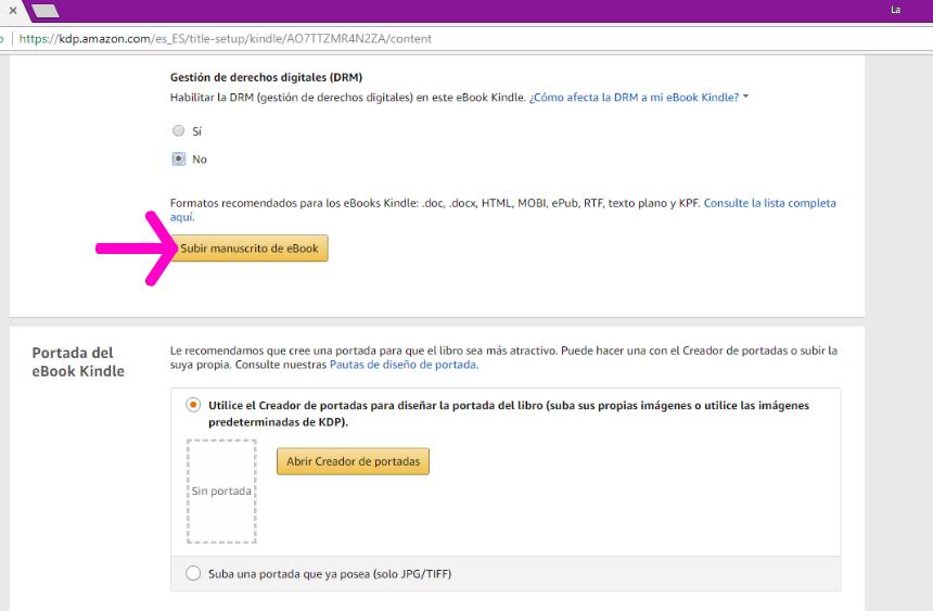 Captura de pantalla publicar eBook