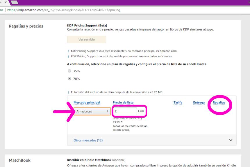 Captura de pantalla publicar eBook