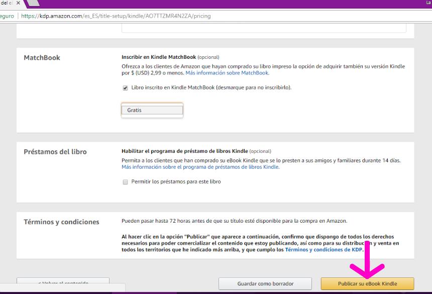 Captura de pantalla publicar eBook