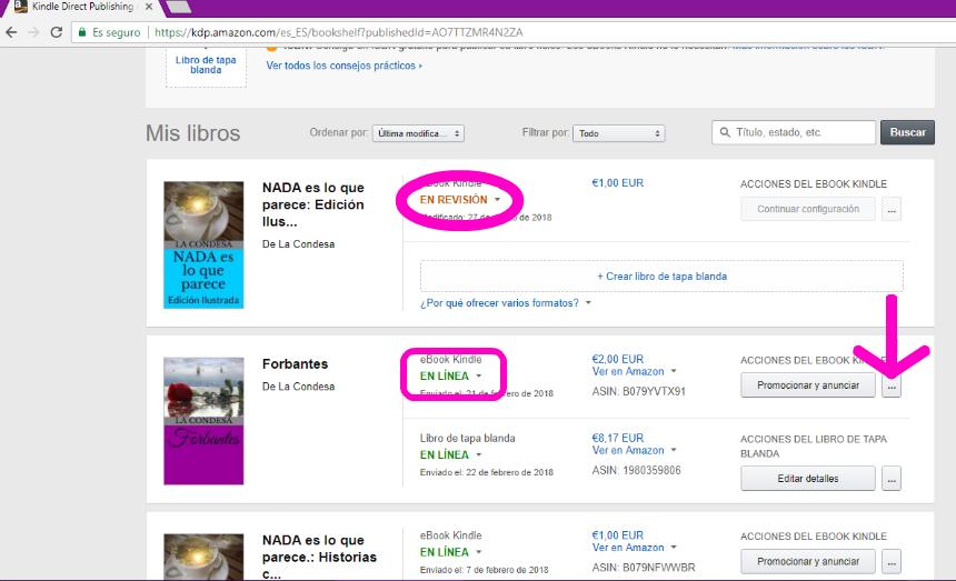 Captura de pantalla publicar eBook