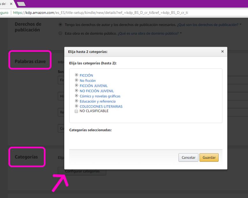 Captura de pantalla publicar eBook