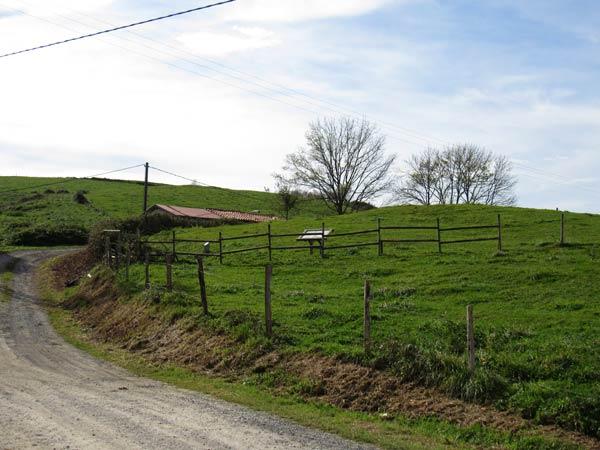 Comienzan los túmulos. En caso de problema, llamar a Tom Bombadil.
