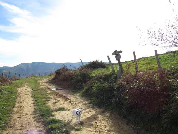 Atentos a la señal. Hacia la derecha subimos a Cotobasero