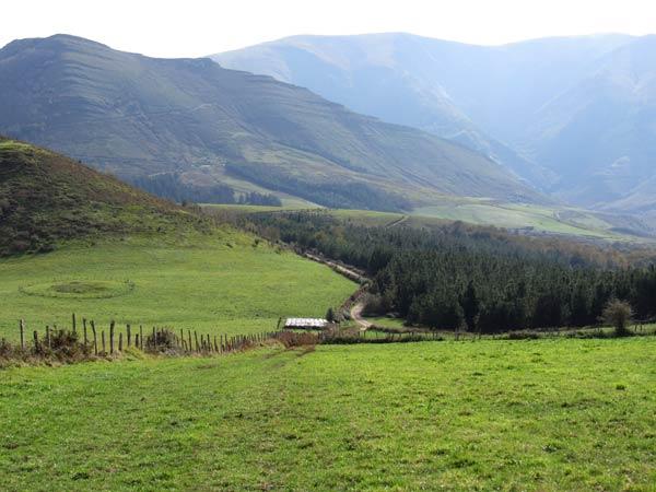 En brevas retomamos el camino