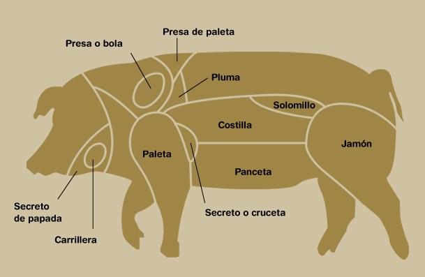 partes-y-carnes-del-cerdo