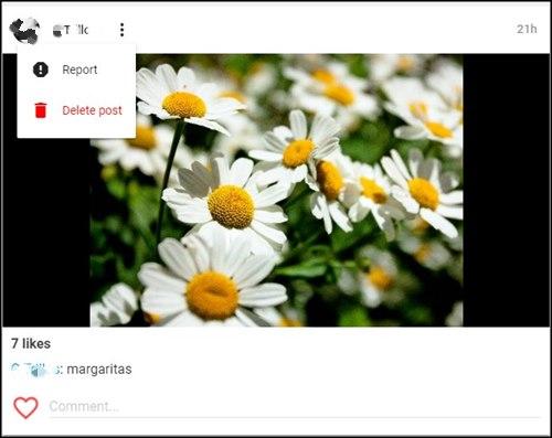 Borrar una foto en Friendly pix