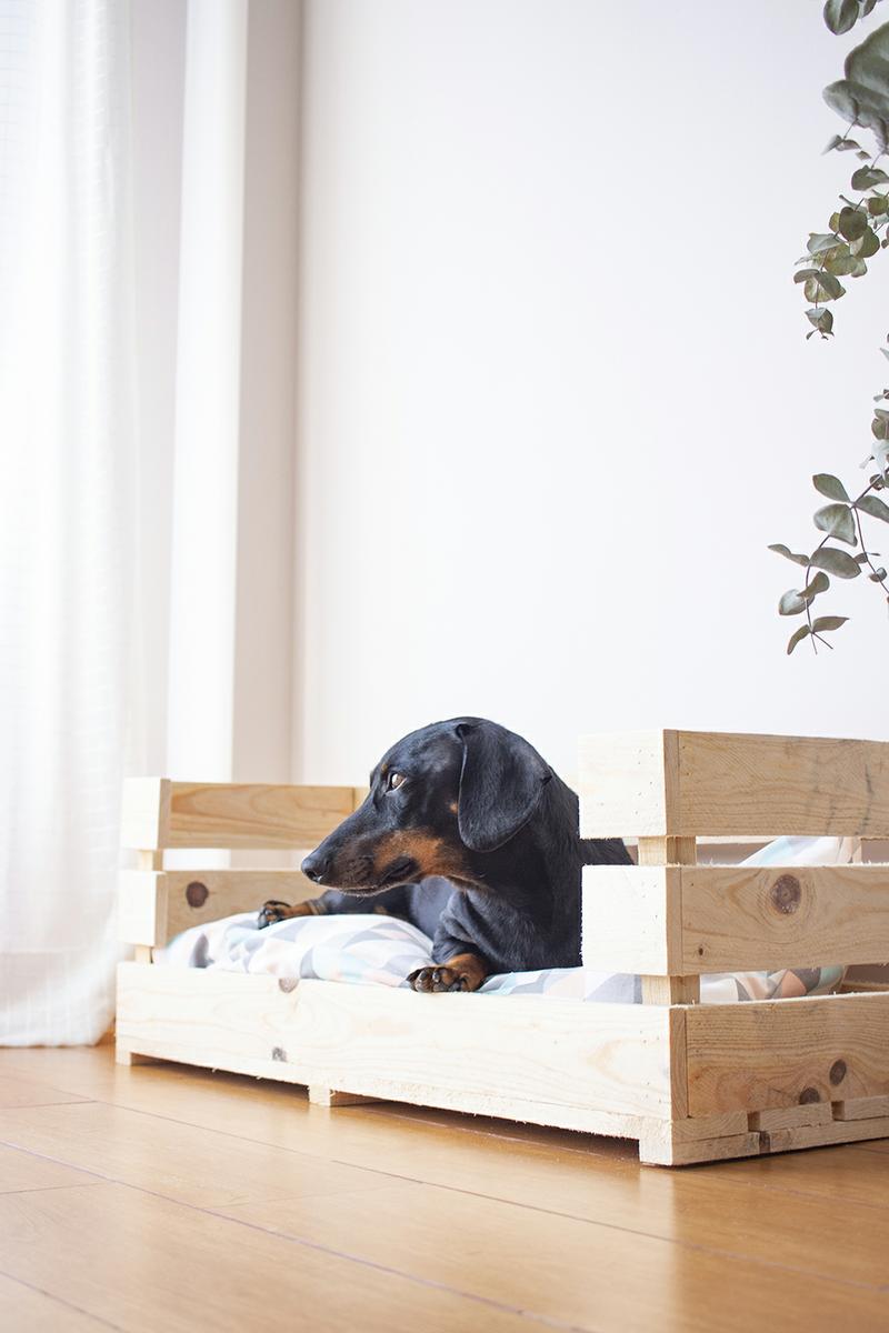 diy cama perro madera