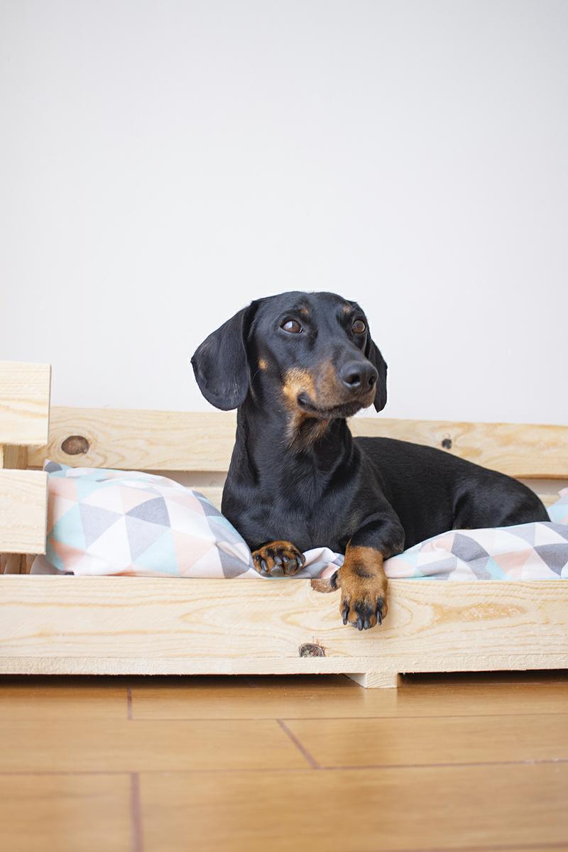 diy cama perro con caja de madera