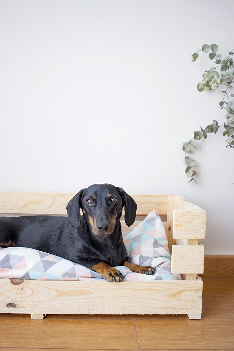 cómo hacer una cama para perros