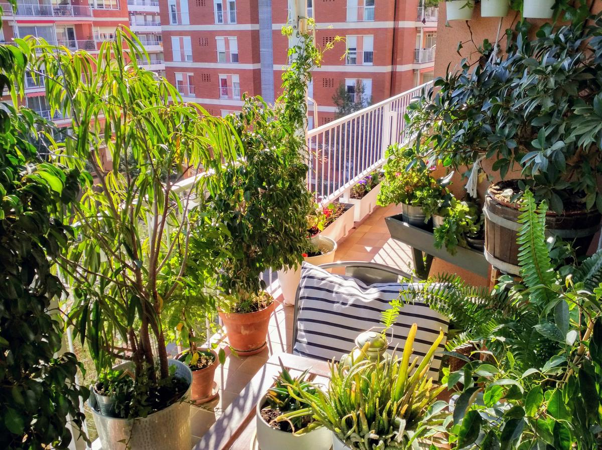 IMG_20180326_101522_HDR